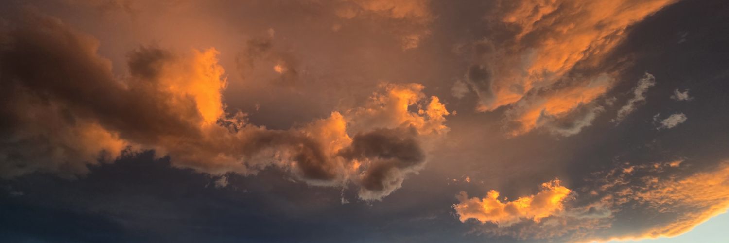 ✨️دیزگینر banner