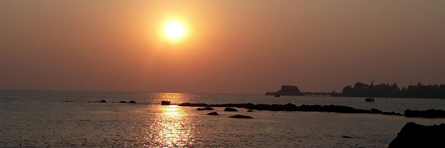 Shrooti21's profile banner image