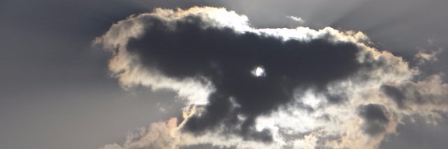 Lobo_Reenal's profile banner image