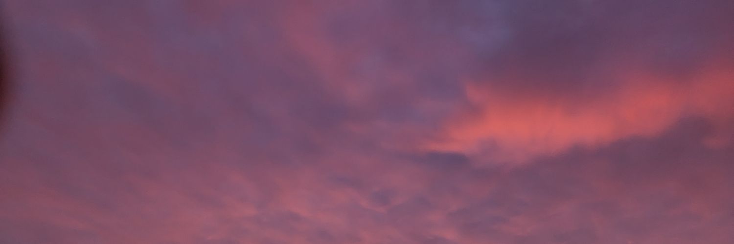 raychul22's profile banner image
