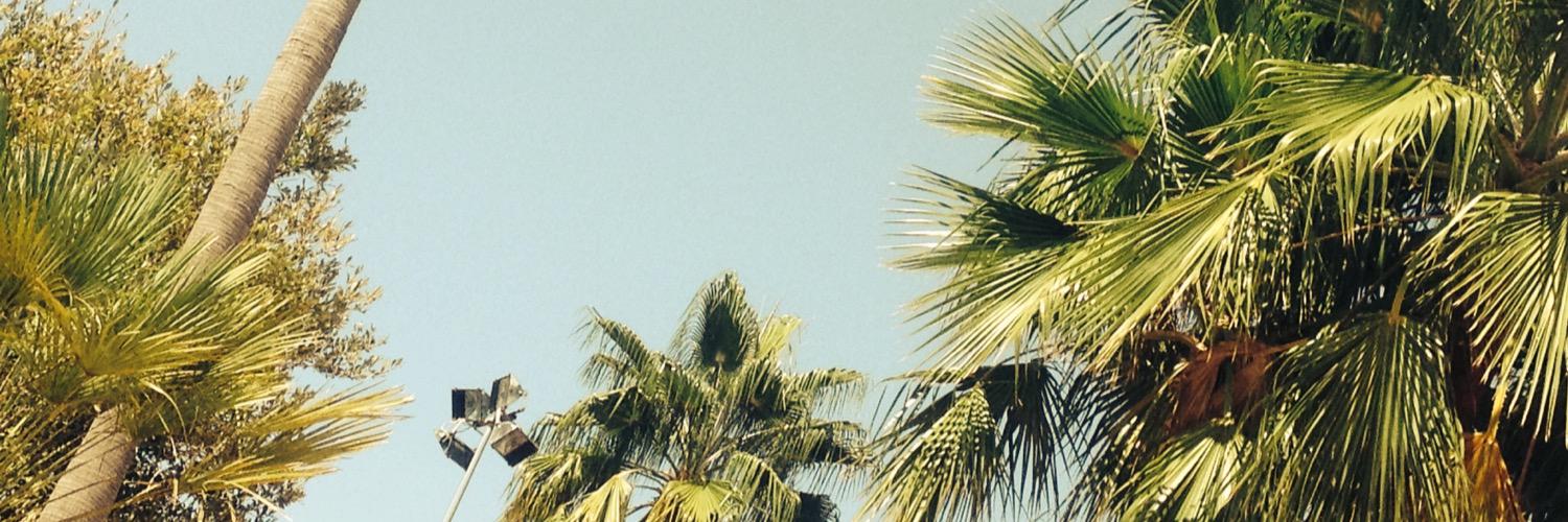 LouiseFeys's profile banner image