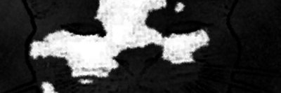 randomusr's profile banner image