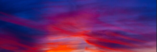 DoughtMeNot Profile Banner