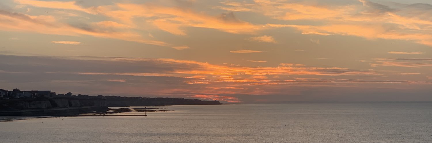 Reeceypugh's profile banner image