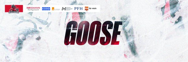 gooselol1 Profile Banner