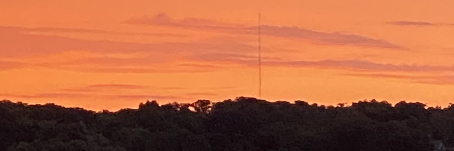 Margaret Gaca banner