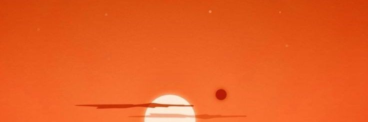 PenguinwithaPhD's profile banner image