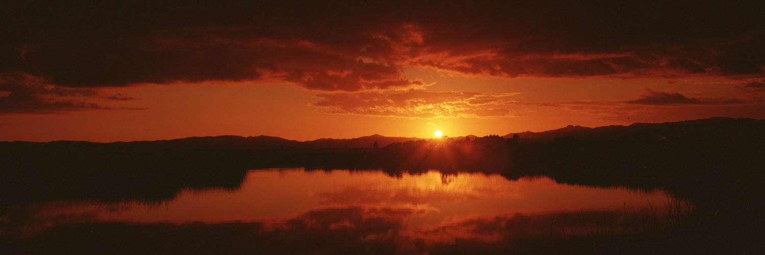 Delta Protection banner