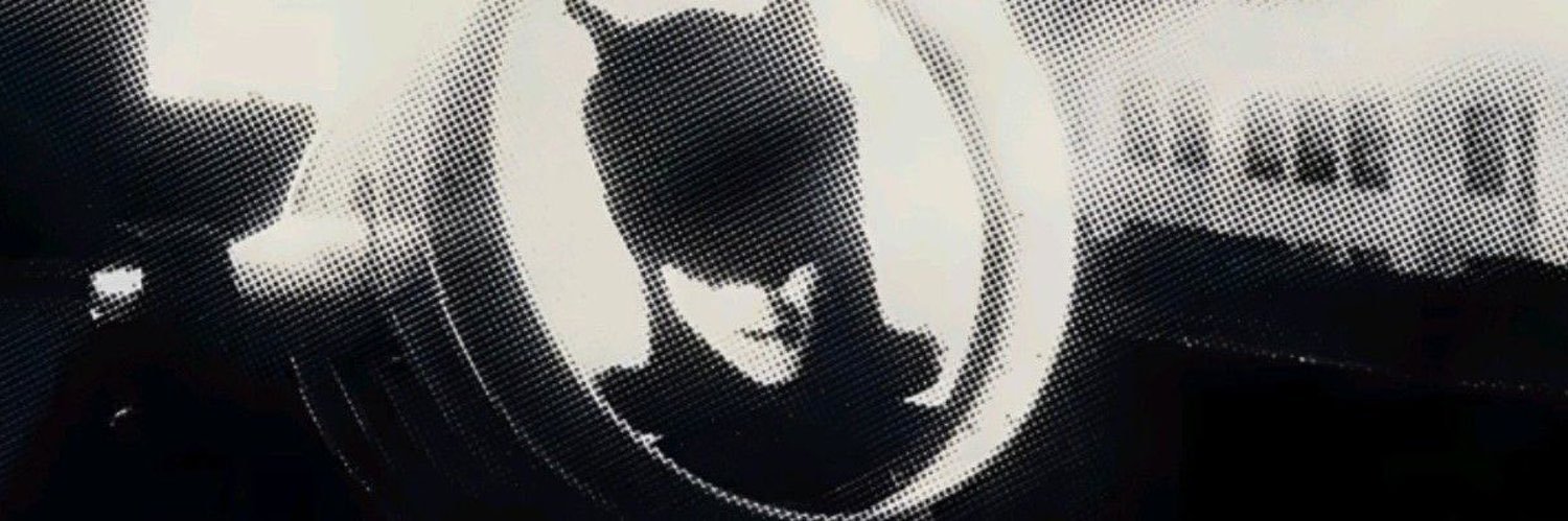meg ꕤ banner