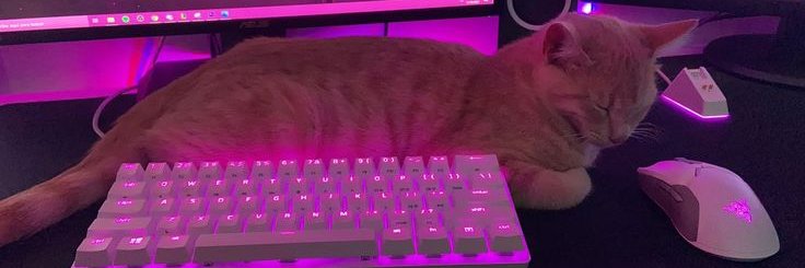 nikioly's profile banner image