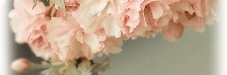 Twinkle10041004's profile banner image
