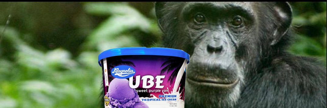 ubefleur's profile banner image