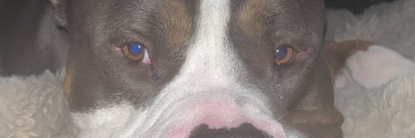 InKcognitoG Profile Banner