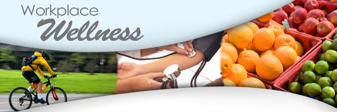 MISD WELLNESS banner