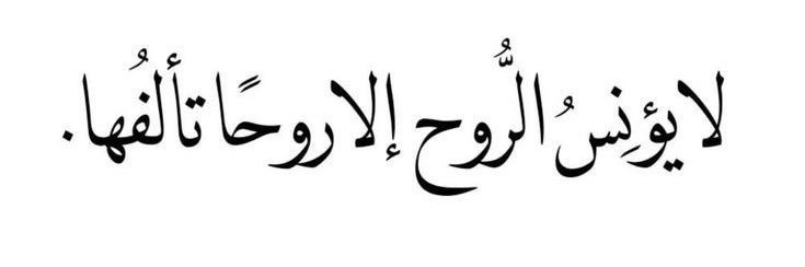 unia_gamal's profile banner image