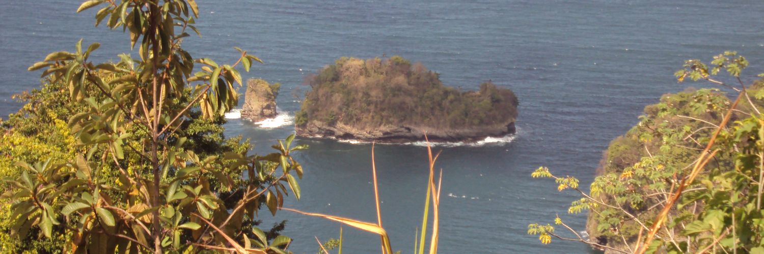 Trini84 🇹🇹 banner