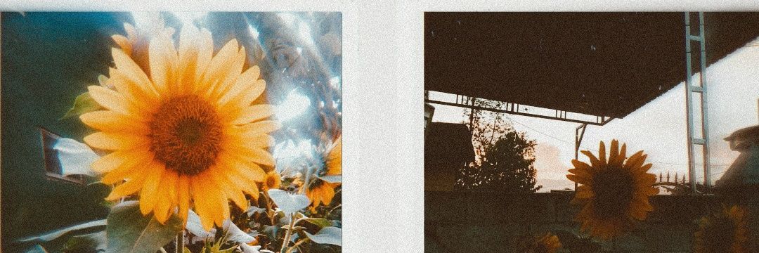 evedwy's profile banner image