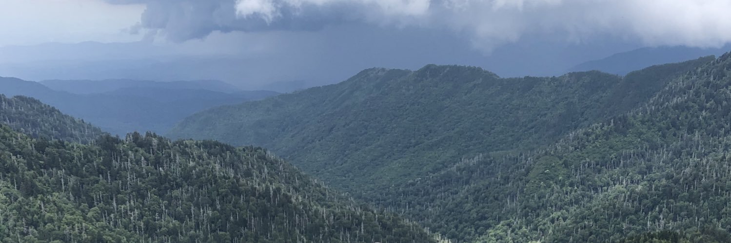 Taylor Peters banner