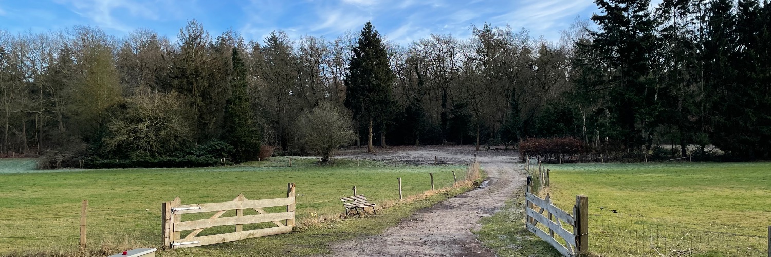 DickNieuw's profile banner image