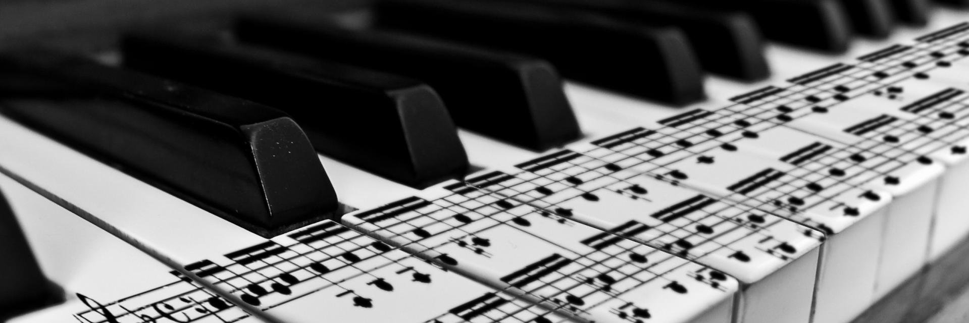 Niki_Synrem's profile banner image
