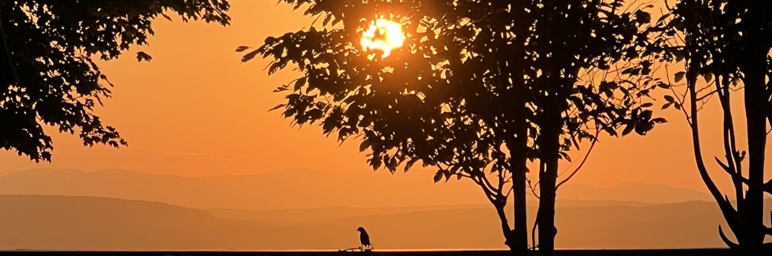 marie_elson's profile banner image