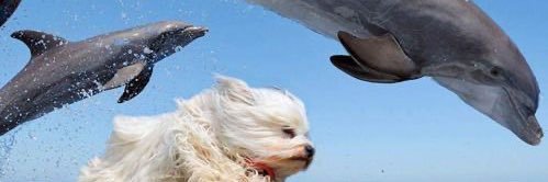 a_pln9's profile banner image