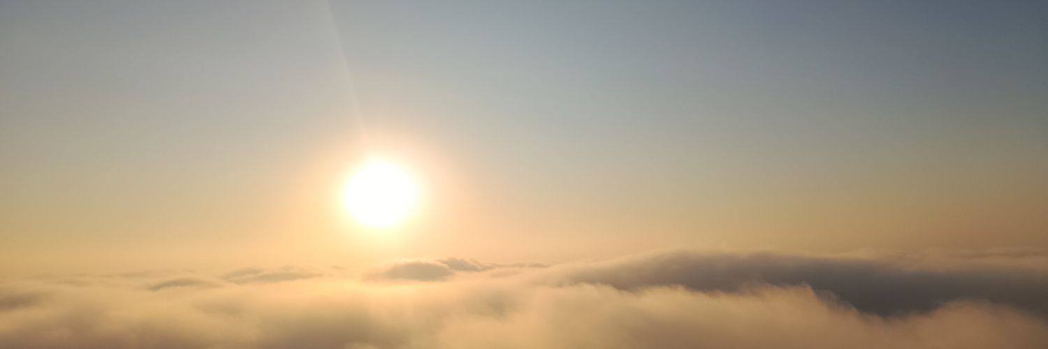 Limonadia_'s profile banner image