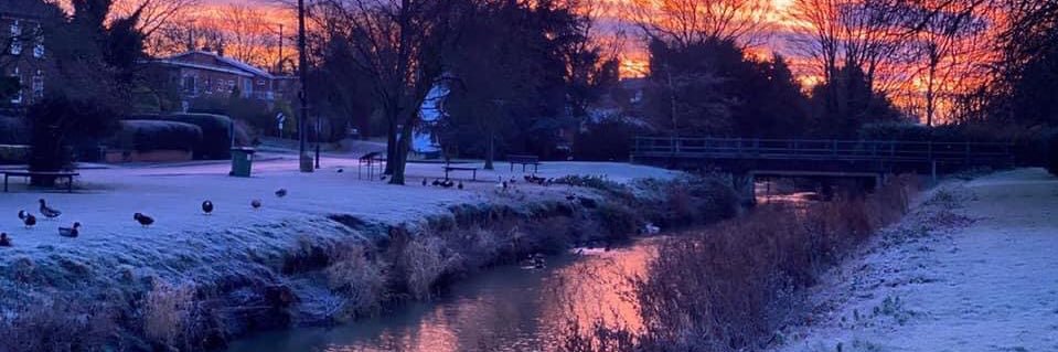 Catherine Weekley banner