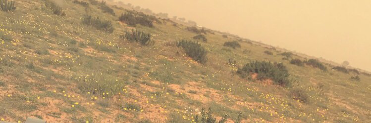 تَـذْگـآـار banner
