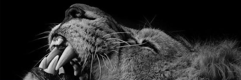 emelayaz4's profile banner image