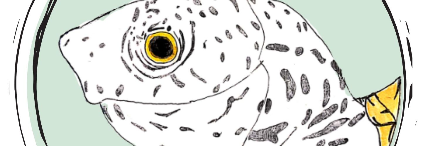 cakboeki's profile banner image