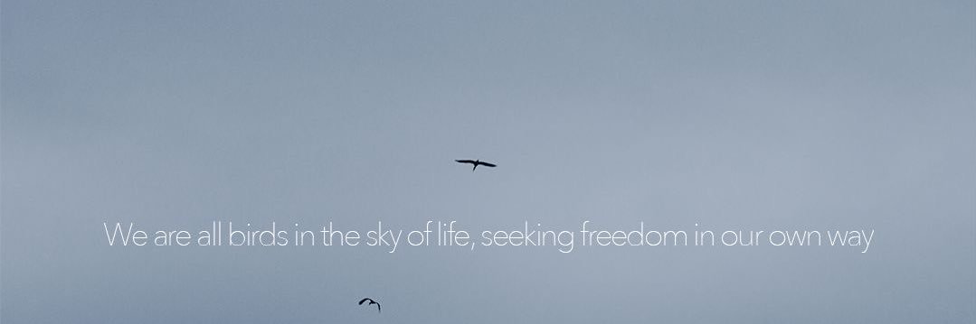 Norhan Alfayed banner