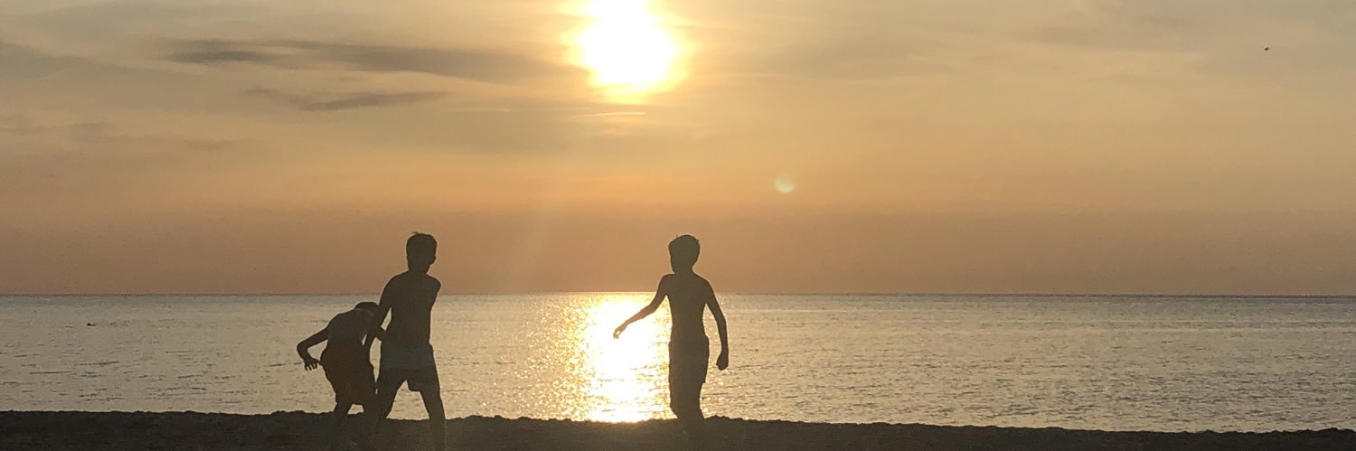 ahaaskjold's profile banner image