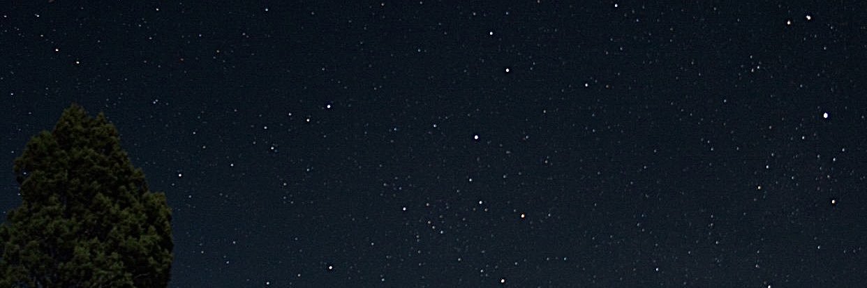 SigneSigne666's profile banner image