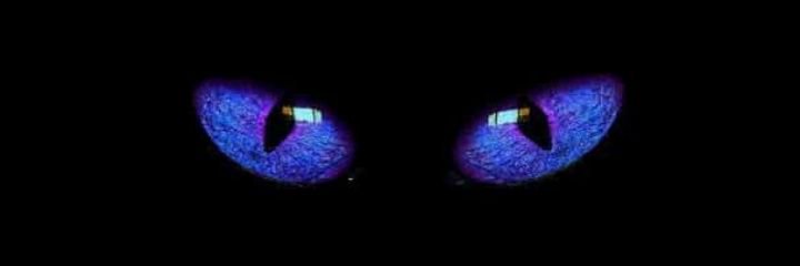 Kol_#@ banner