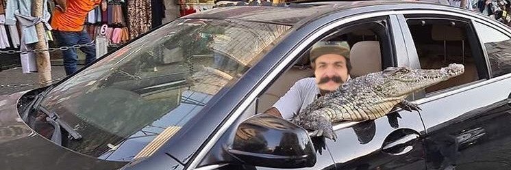 C0L0N3L_'s profile banner image