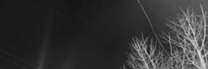 minhakng's profile banner image