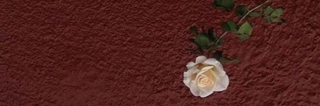 AmethystPooja's profile banner image