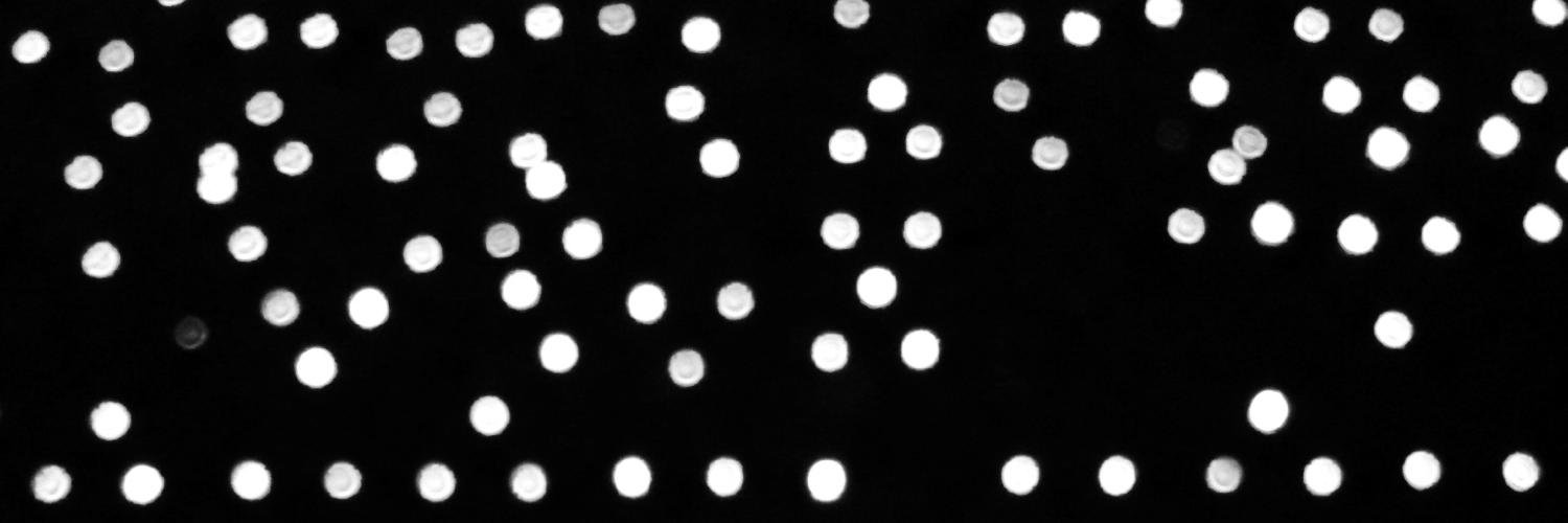 new_edu's profile banner image
