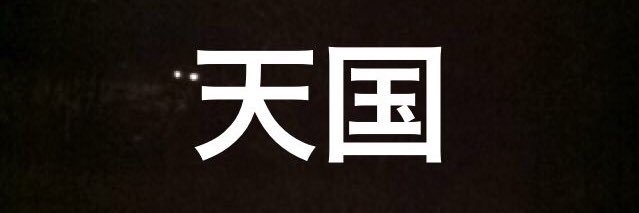 ‎Conrad 🌀 banner