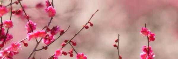 MauriLorene Profile Banner