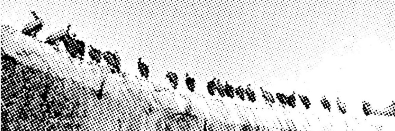 alpsolakoglu's profile banner image