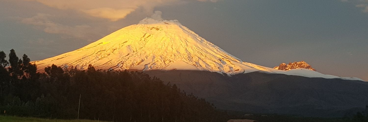 Alicia Torres banner