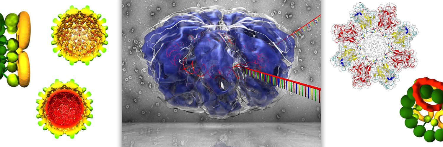 Gökhan Tolun banner