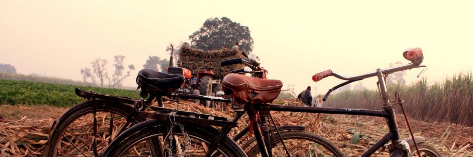 mikeyprograms's profile banner image