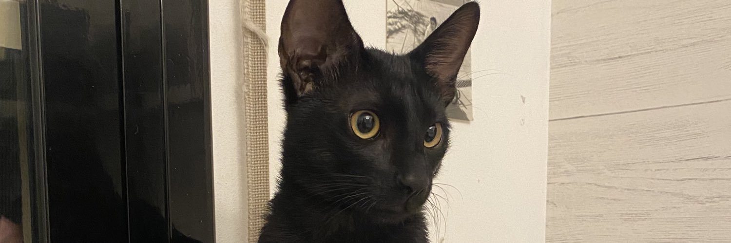 babecharlott's profile banner image