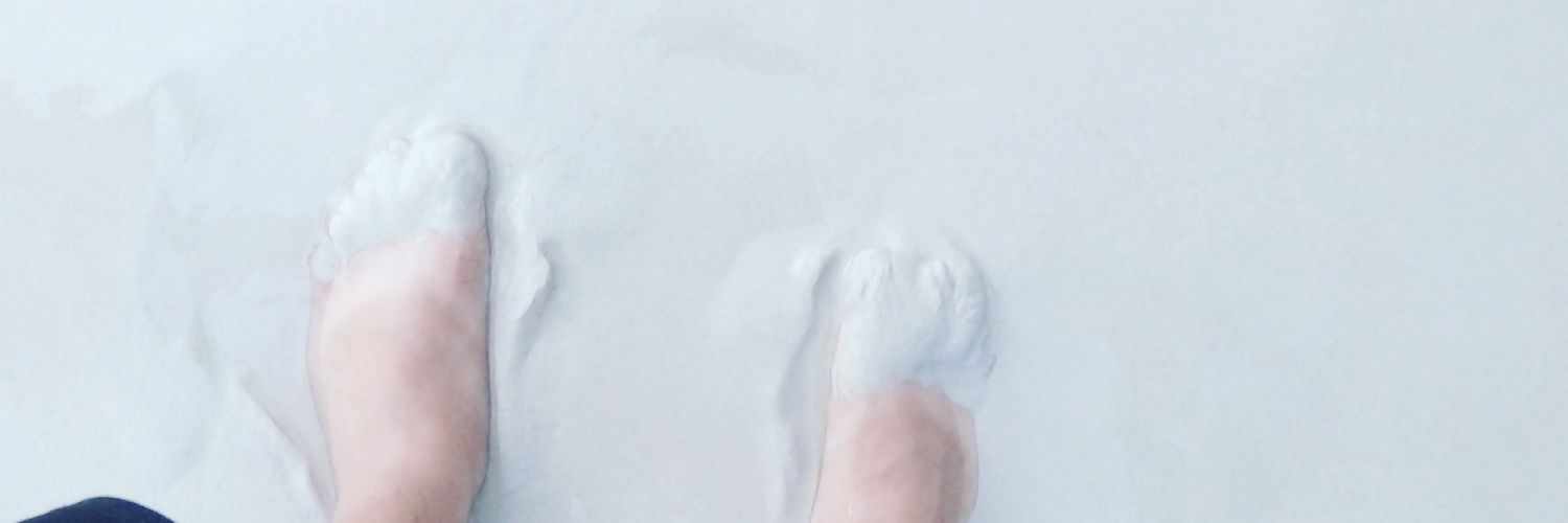 FowlFatrick's profile banner image