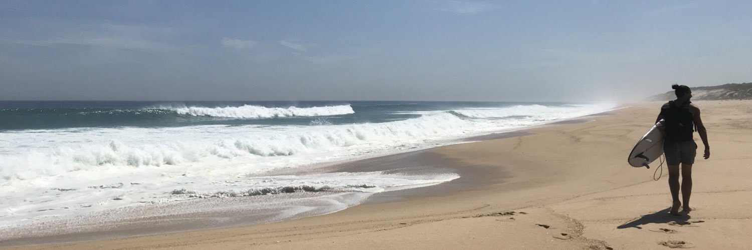 Edward Cederlund banner