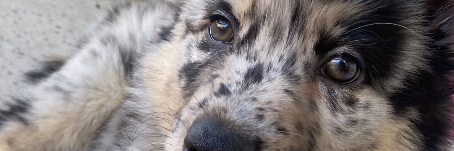 nnessyness's profile banner image