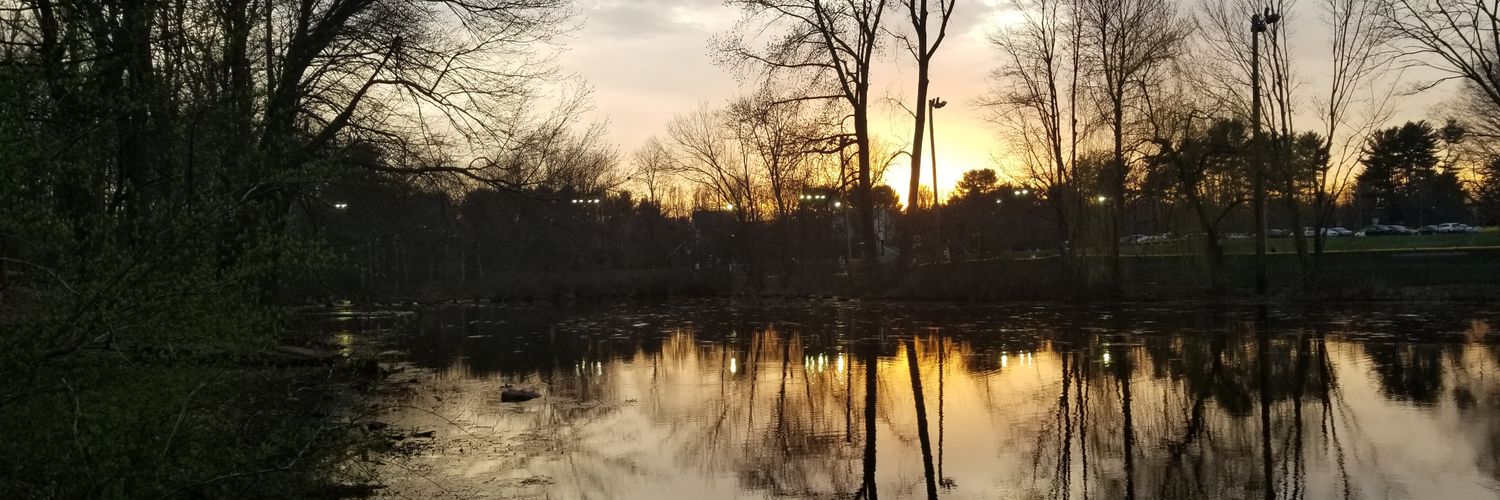 andreawstone's profile banner image